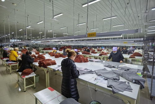 立足产业优势，稳步推进纺织技术开发——宁夏灵武市高质量建设现代纺织先行区