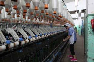 纺织厂如何精准开拓客户并推动纺织技术开发