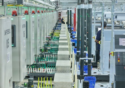 纺织行业迈向绿色新纪元 我国首座碳中和工厂实现达产达效